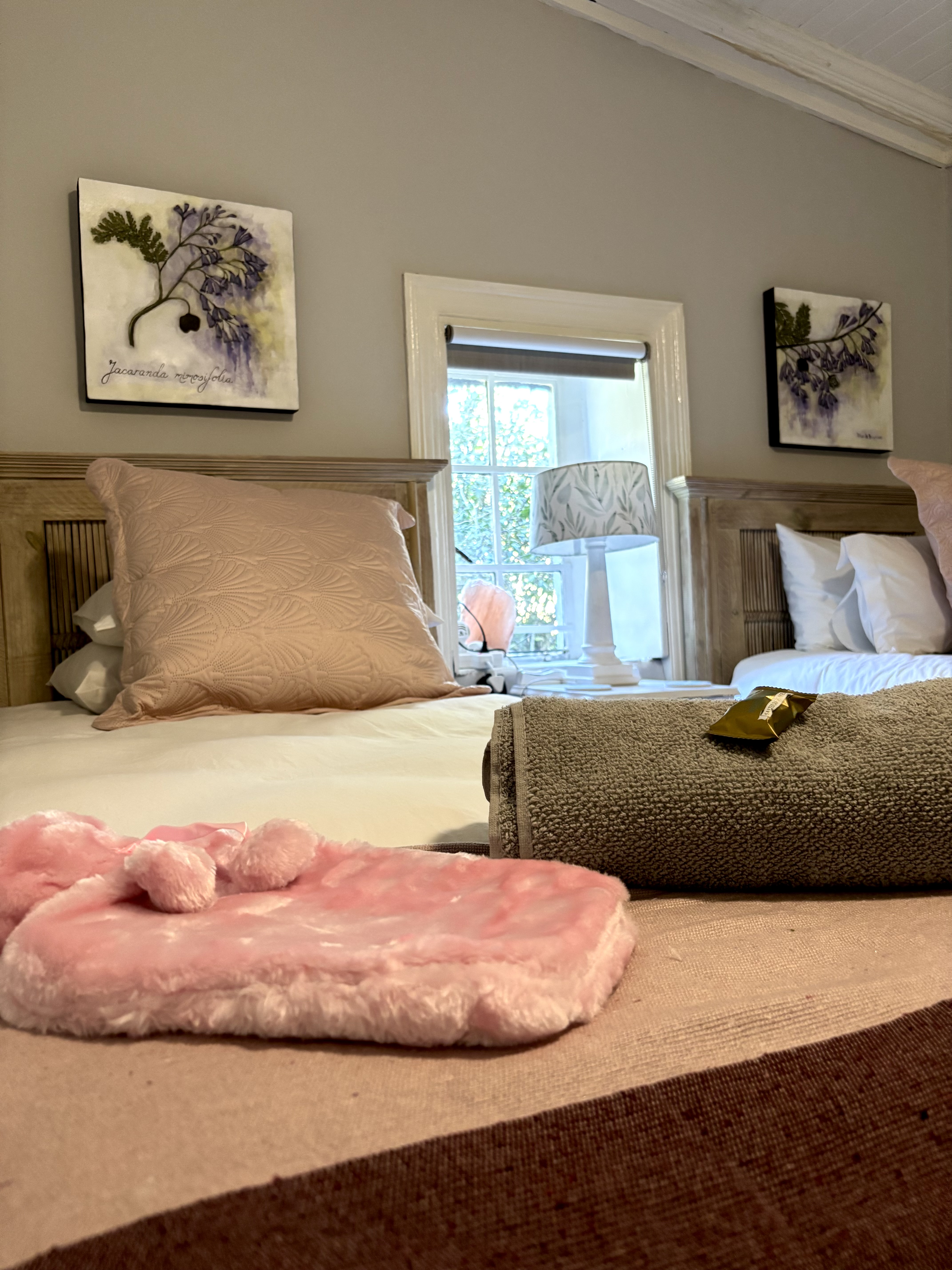 Main image of Acacia Room